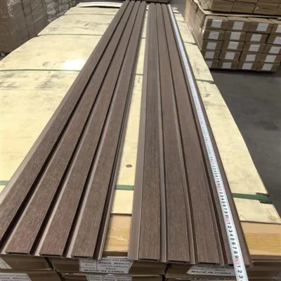 Co-Extrusion vanjski WPC zidni vanjski panel